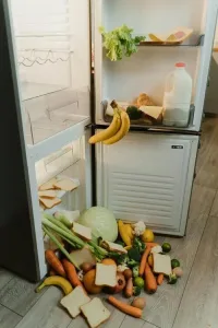 Refrigeration and Food Safety: Best Practices for Home and Business