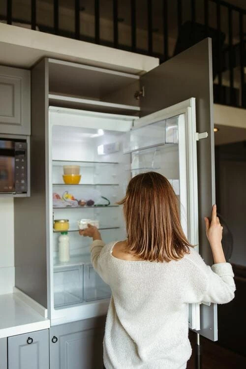 Domestic refrigerator