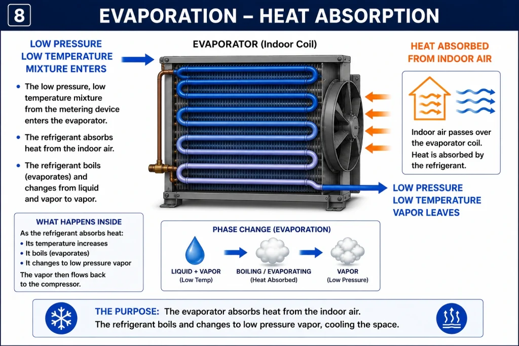 Evaporation explained